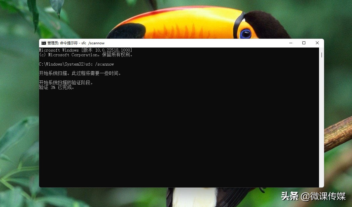 你的Windows11是否卡在平板电脑模式下？这是修复方法
