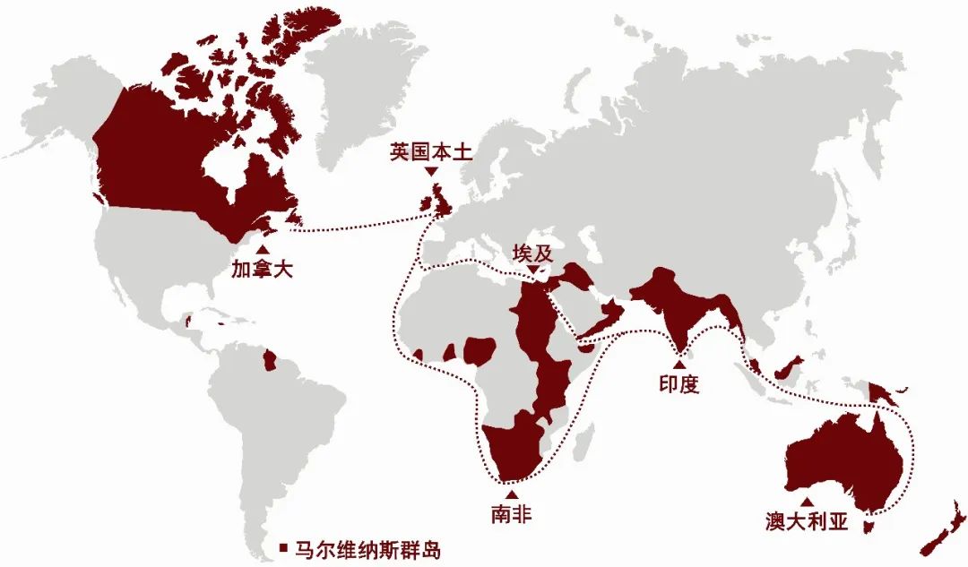 阿根廷最终胜利了吗,阿根廷几年不败了