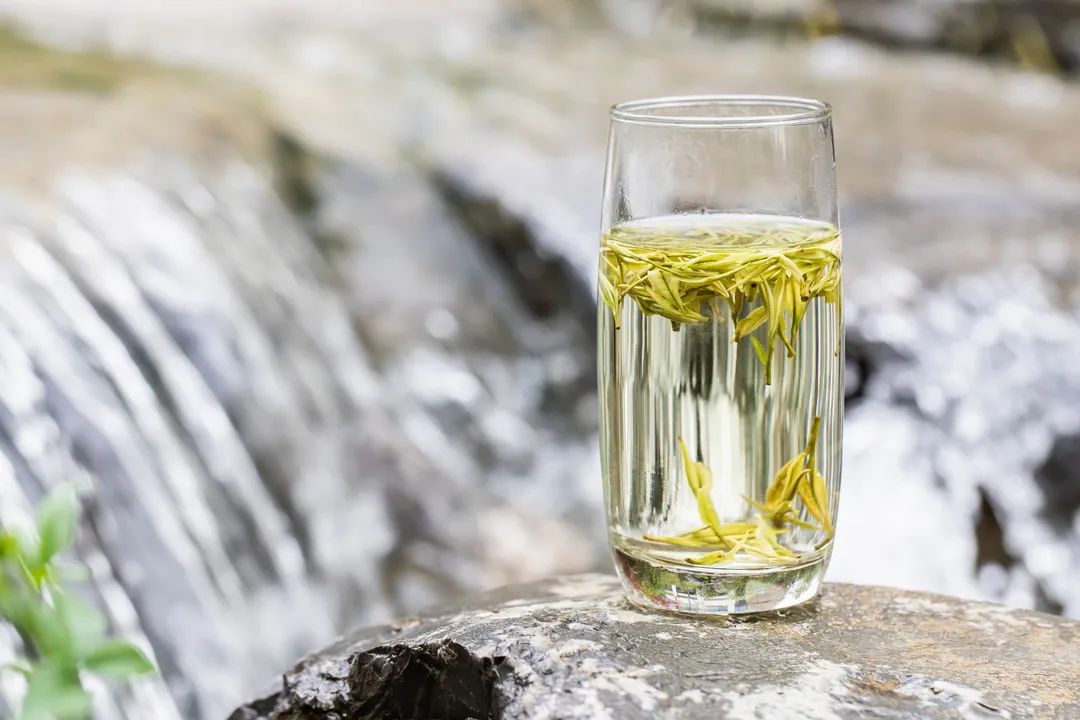 人家泡茶的正确泡法,用杯子泡茶的正确泡茶方法