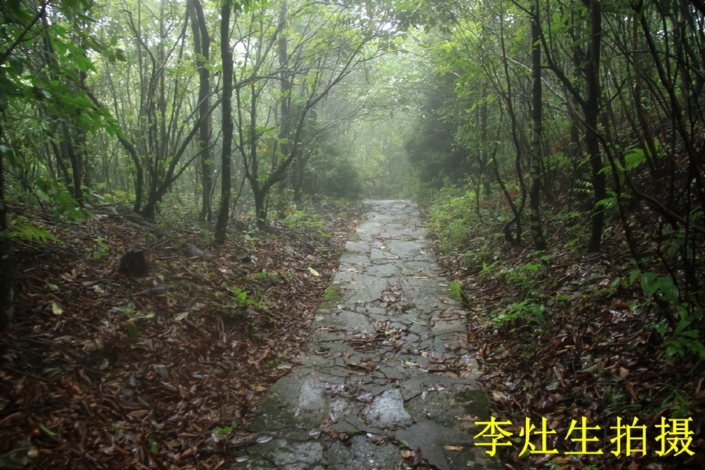 桂林猫儿山老山界,老山界猫儿山