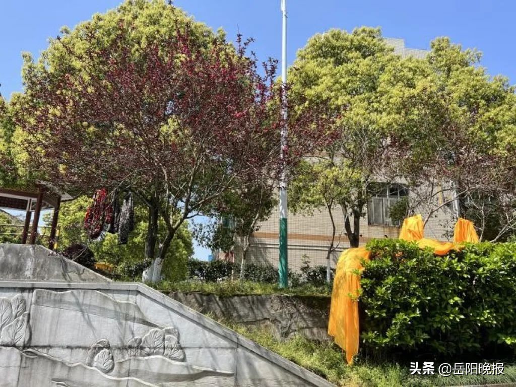 平江扫黄新闻最新消息今天,津市不文明行为曝光