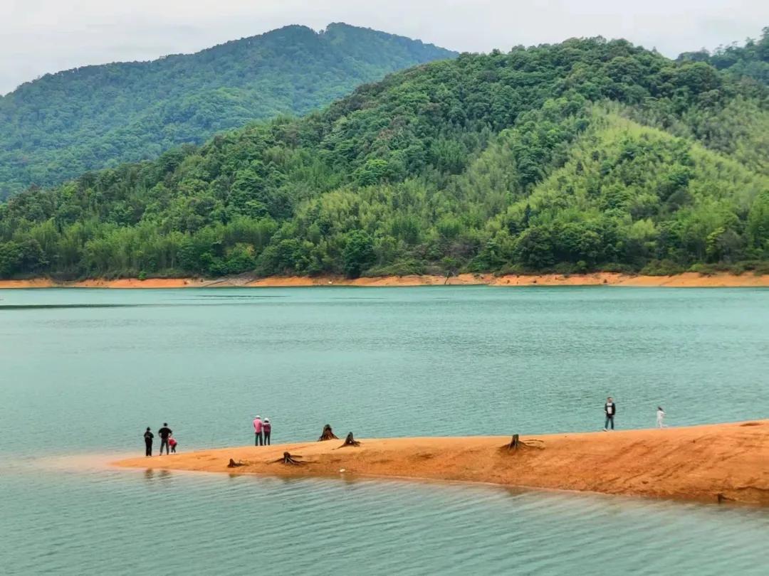 从化草埔村荷花游记,从化小杉村游玩攻略油菜花