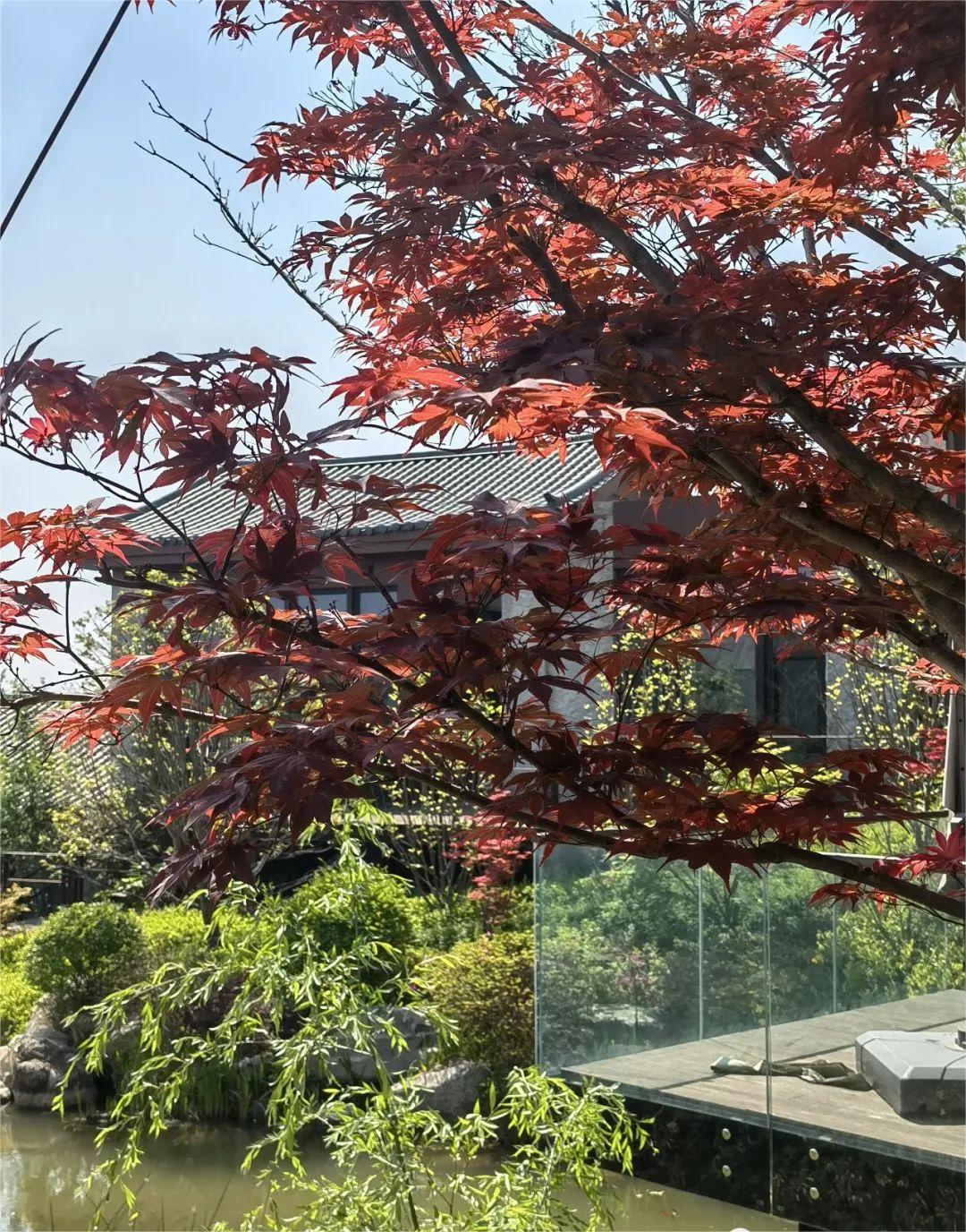 你们都说人多，我却找到一个人少又神仙的地方！