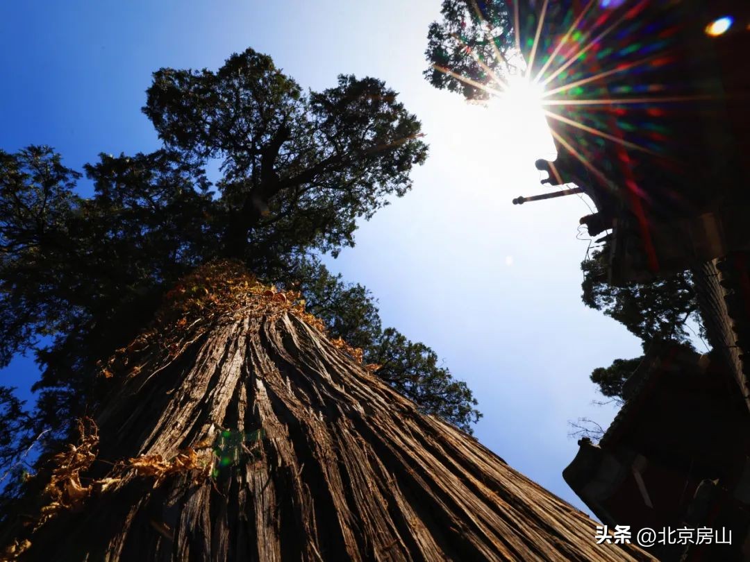 魅力乡村摄影大赛,魅力韩村河