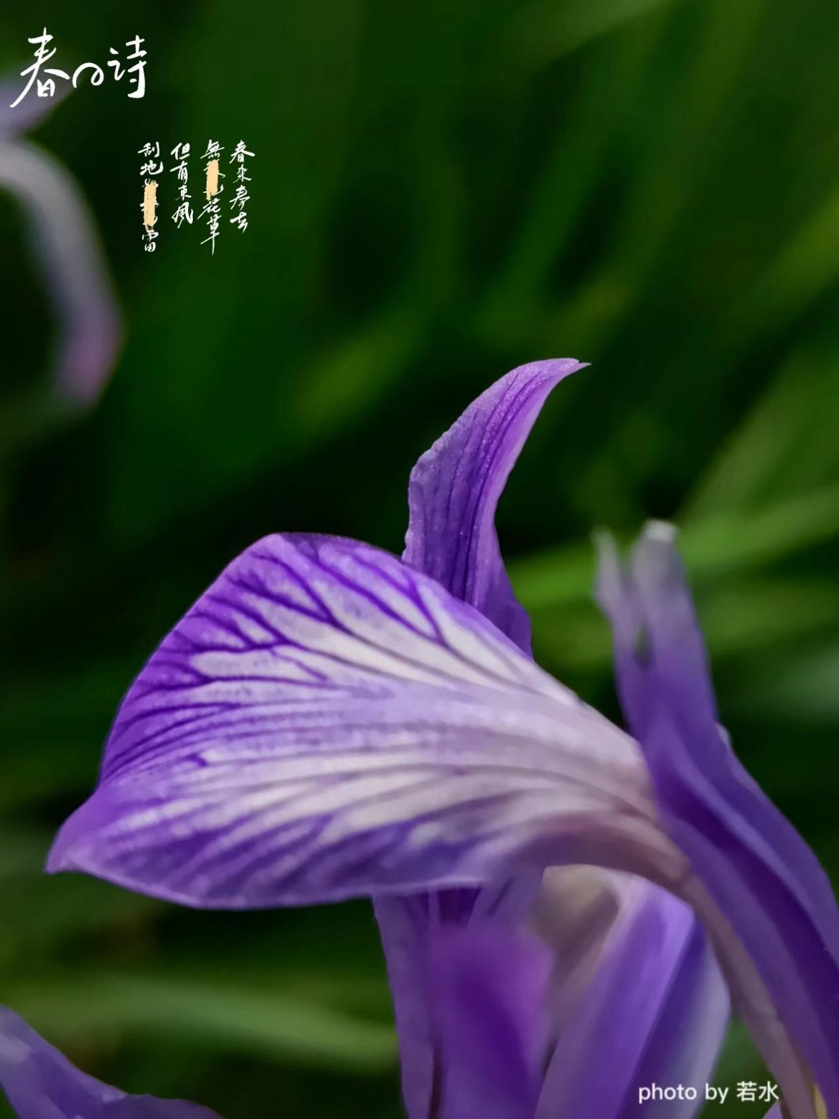 手机拍照的一些小技巧,手机拍照的3个小技巧很实用