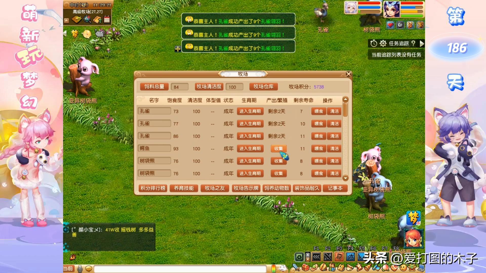 2021牧场熊猫养殖攻略,梦幻西游牧场树袋熊养殖攻略