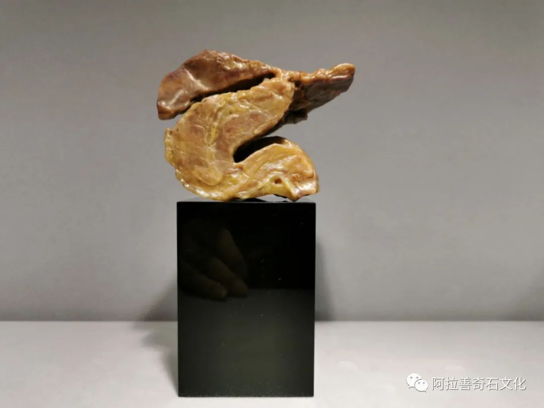 阿拉善奇石博物馆,阿拉善黄碧玉奇石