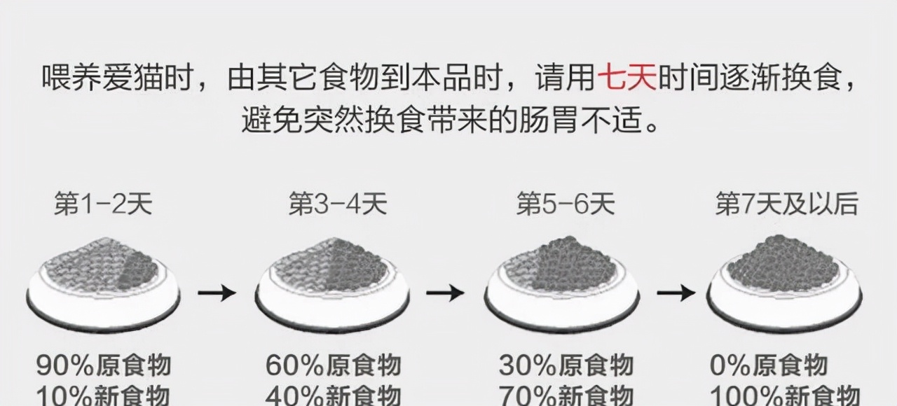 猫咪呕吐拉稀怎么办？五招教你搞定它
