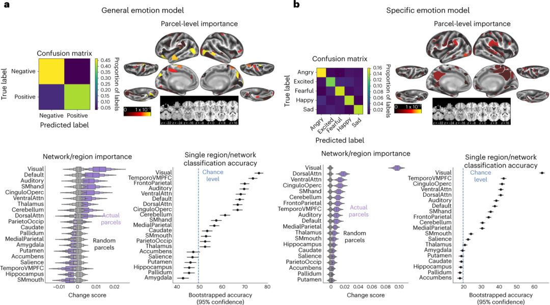 NatNeurosci：揭秘人类情感概念发展的神经影像表征的变化