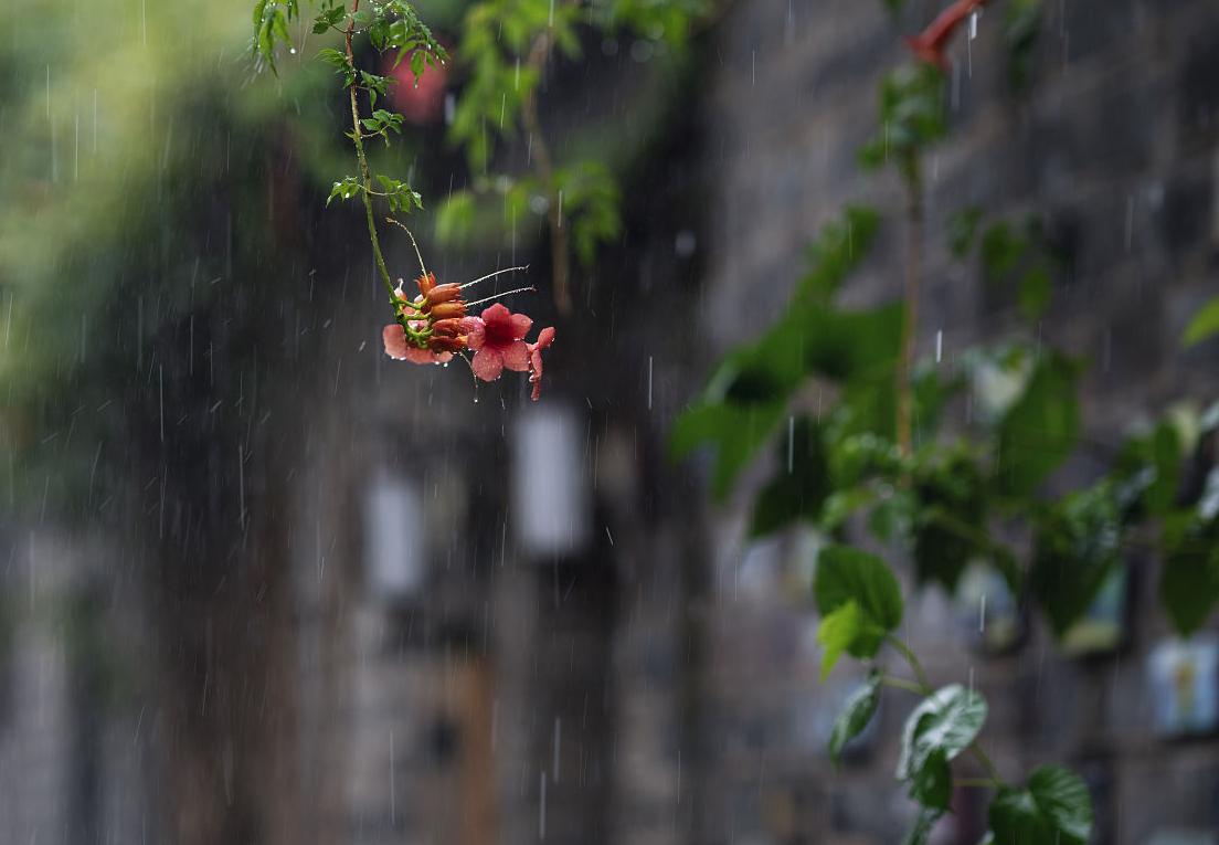 今年的黄梅雨季是哪几天,今年黄梅雨天什么时候结束