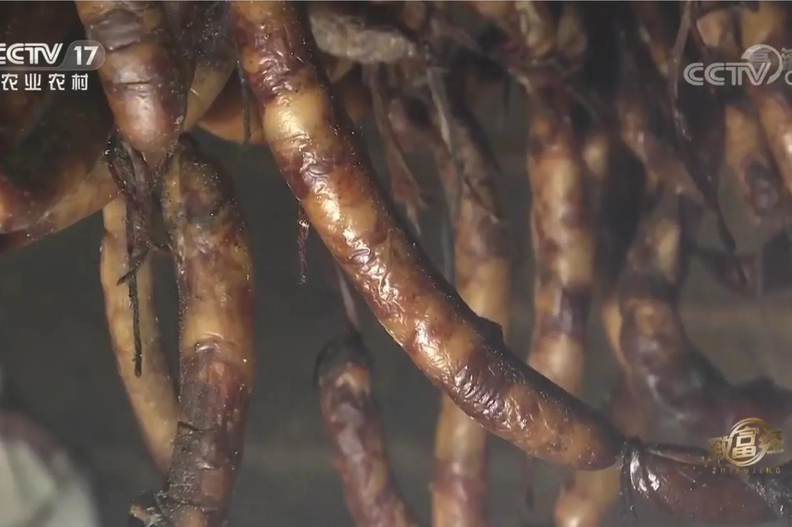 愚公移苍山荒山化作聚宝盆,荒山摇身一变成村民聚宝盆