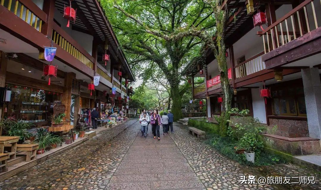 福建武夷山旅游攻略自由行,鼓浪屿武夷山土楼旅行8日游