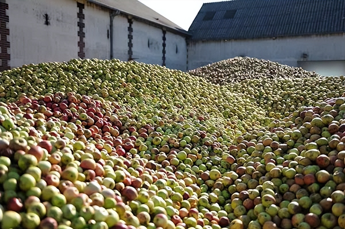 不容错过法国红酒,不容错过的精彩时刻