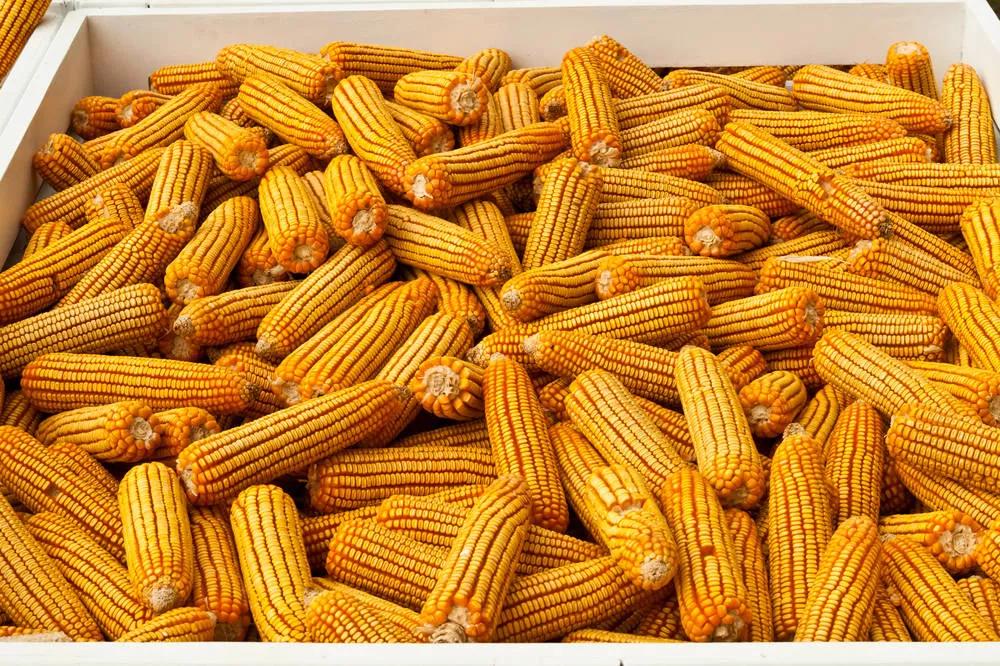 陕西农村的故事,农民与土地故事