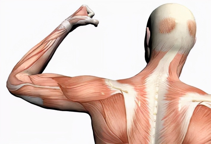 患有进行性肌营养不良症,进行性肌营养不良症一般几岁发病