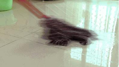 被埋没在超市的4种“良心国货”，便宜又好用，碰到了可别错过