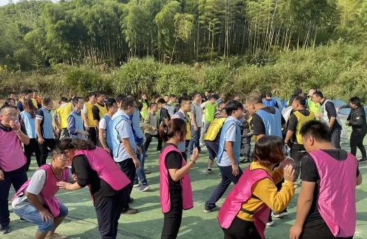 新颖团建拓展项目,趣味拓展精品团建必选地