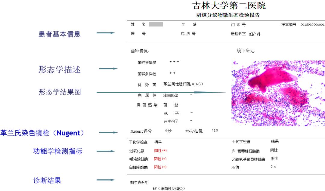 派特灵生物,派特灵生物讲解