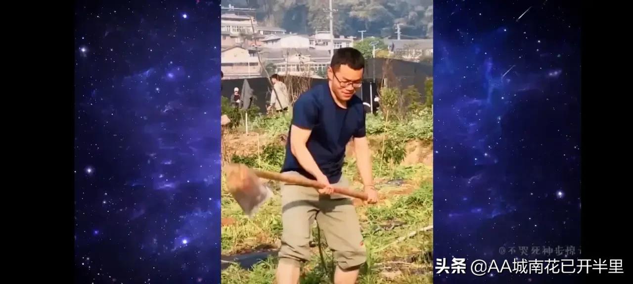 云南农大招生简章火了,云南农大招生简章是什么梗