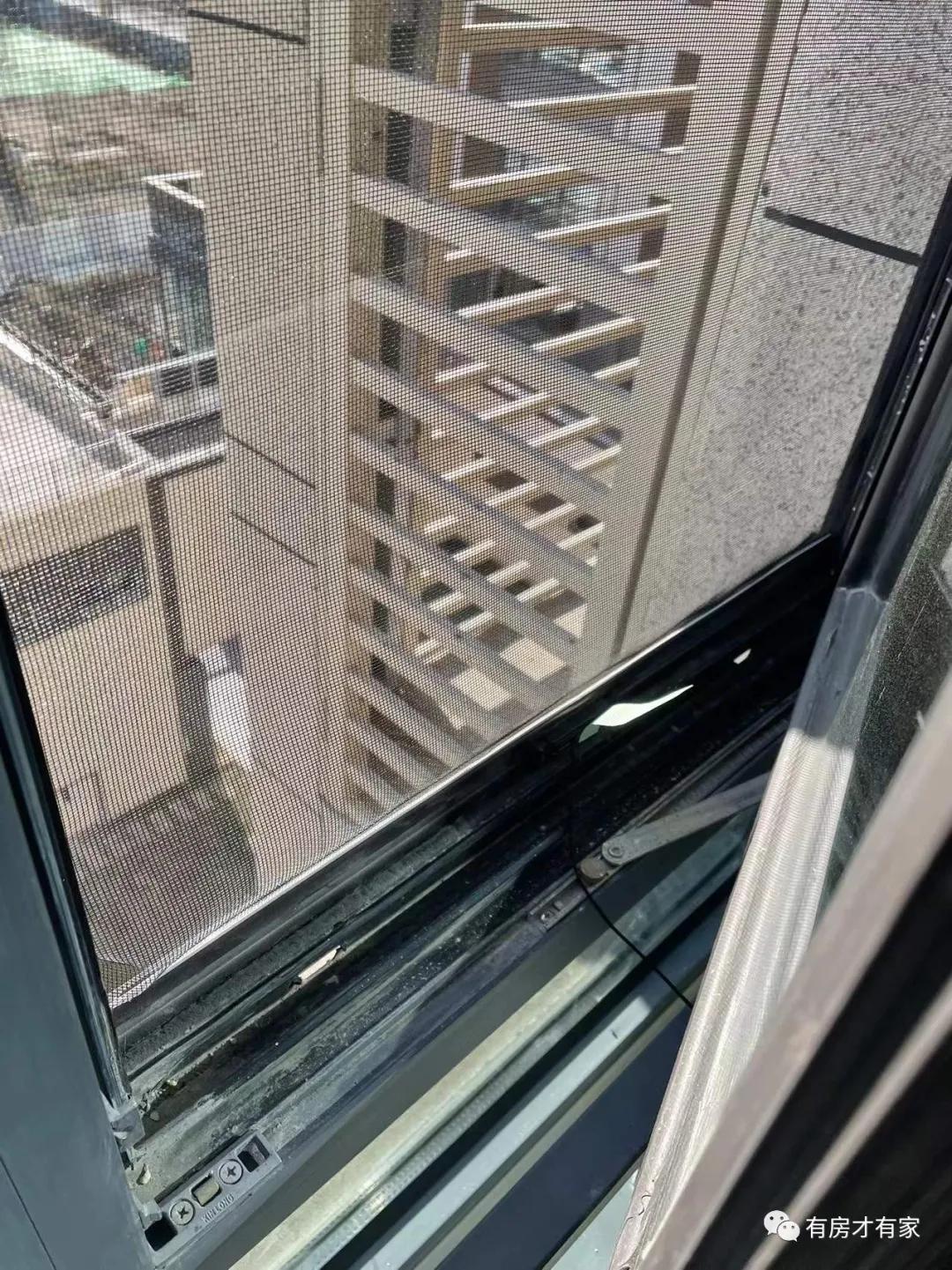 甯哥啛姗℃爲婢滄咕楠屾埧,楠屾埧娣卞害鍒嗘瀽鏂版埧