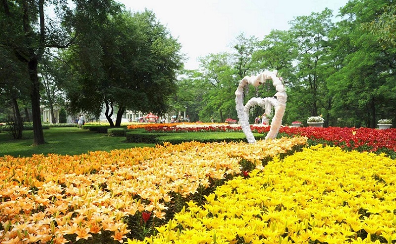 沈阳旅游必去十大景点目录,沈阳旅游攻略必去十大景点