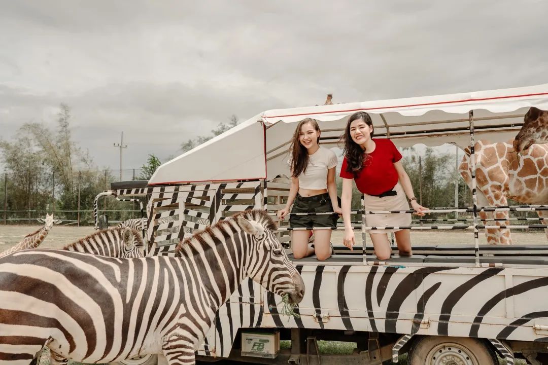 泰国曼谷旅游必去十大景区,泰国野生动物园亲子游