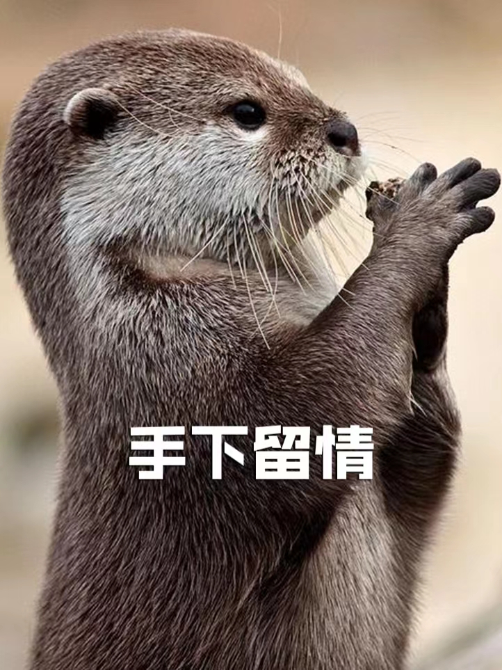 海龙的皮帽子,郭德纲经典相声海龙的帽子