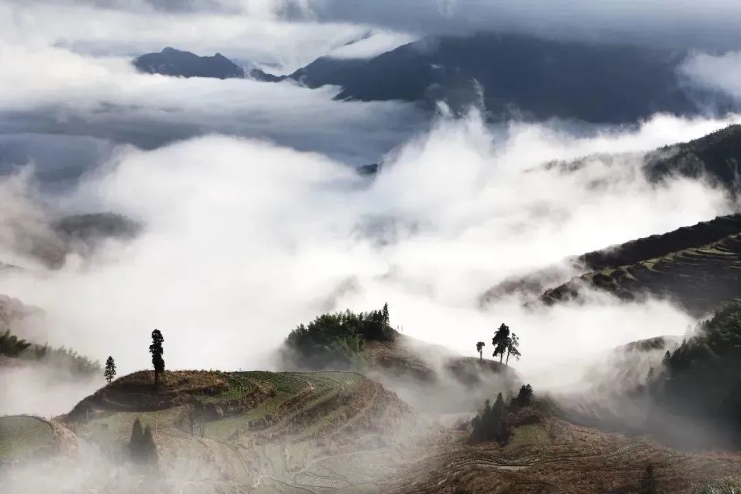 山系生活,高端玩家的夏天是25℃!