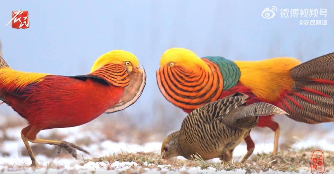 人类精子库捐献报名,人类精子库招志愿者