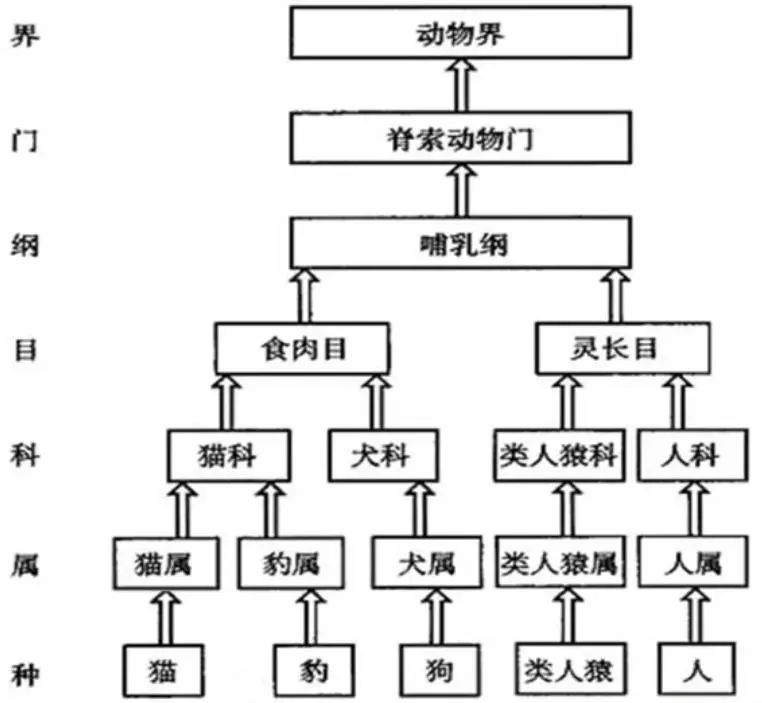 多灾多难，我们的未来还会好吗？