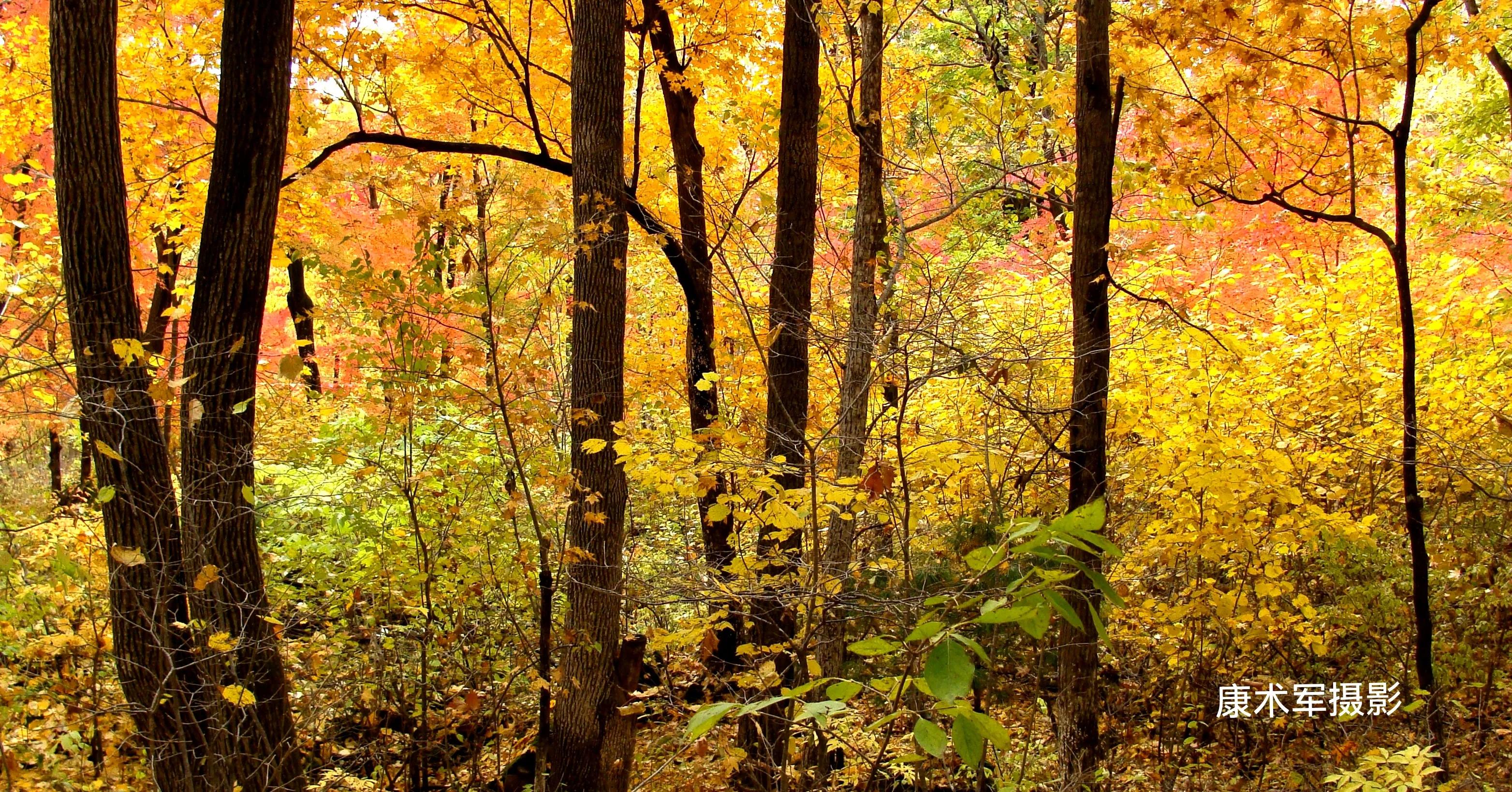 康术军话题:层次的“高低”与划分
