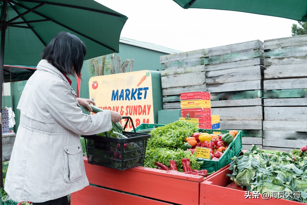 我在新西兰体验当地人的生活，在漂流瓶遇上女留学生，从事性工作