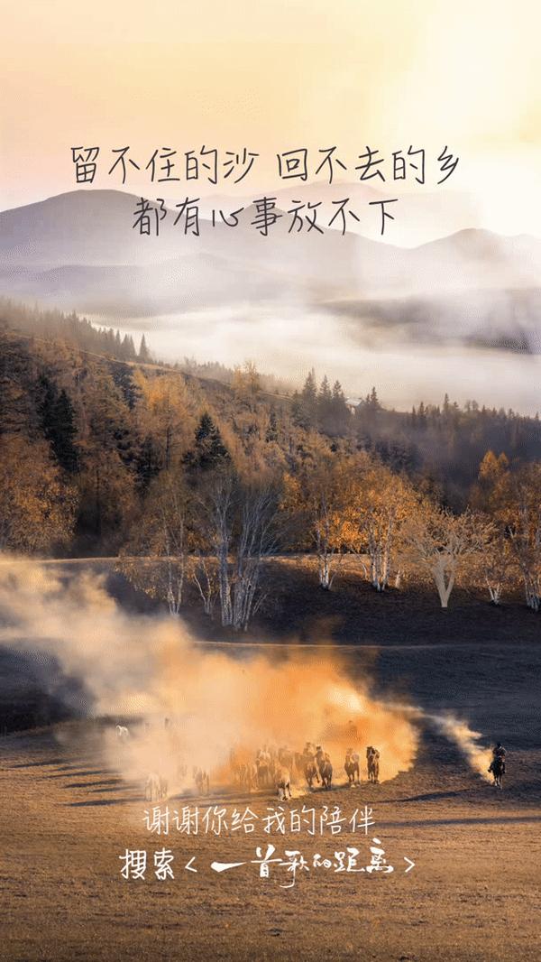 经典的直播宣传文案,直播文案宣传吸引人的句子