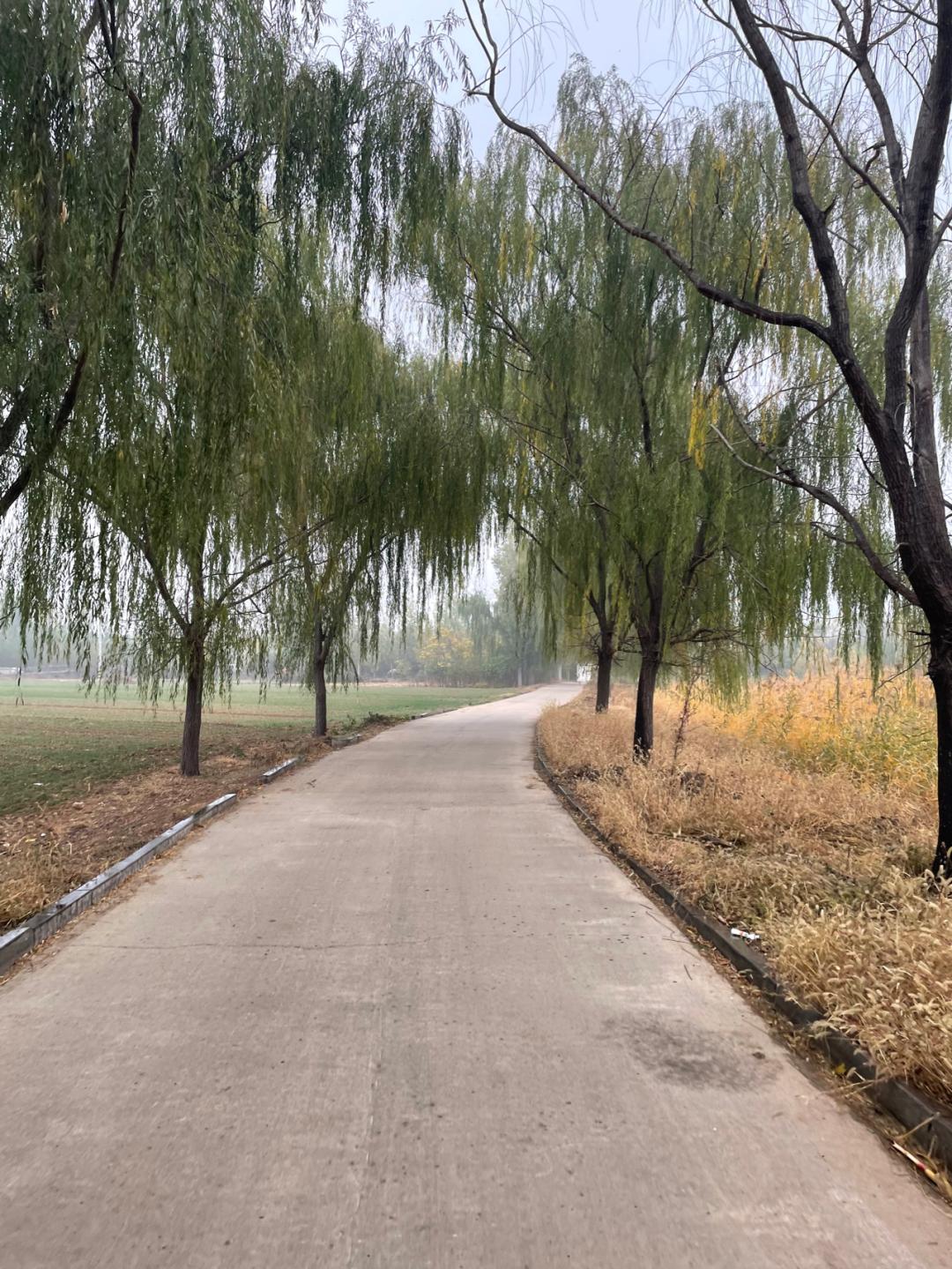 董董骑行山东,山东菏泽巨野县怎么样