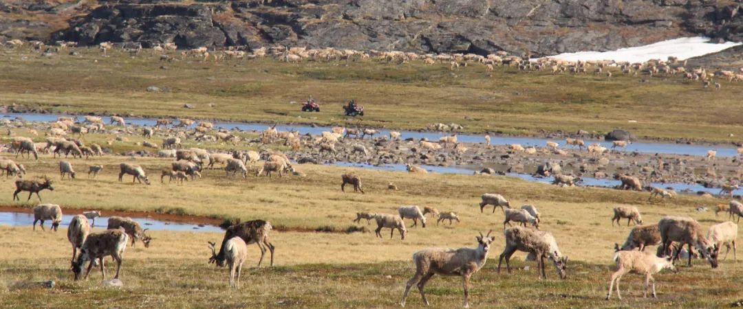 努纳武特地区怎么样,努纳武特地区