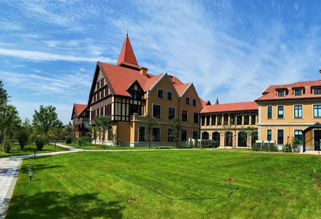 乡村振兴100讲全集,100个经典乡村振兴案例