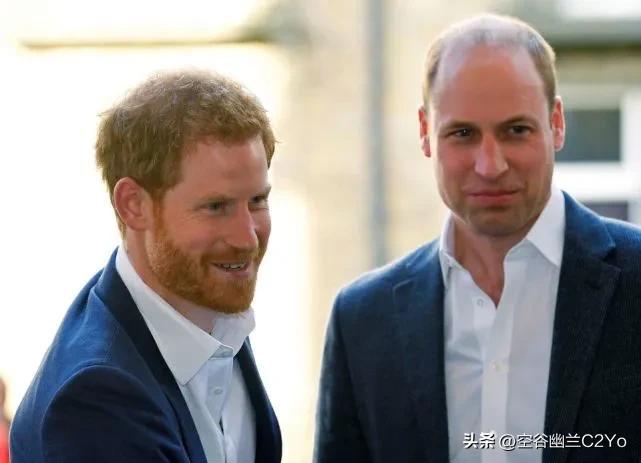 哈里王子为什么要退出英国王室,哈里王子为什么退出英国王室了