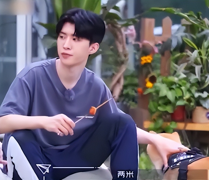 范丞丞被张大大夸,范丞丞怼张大大原视频