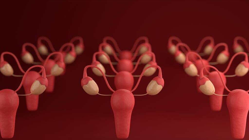 绝经对女人身体好处坏处有哪些,女人绝经的好处和坏处是什么