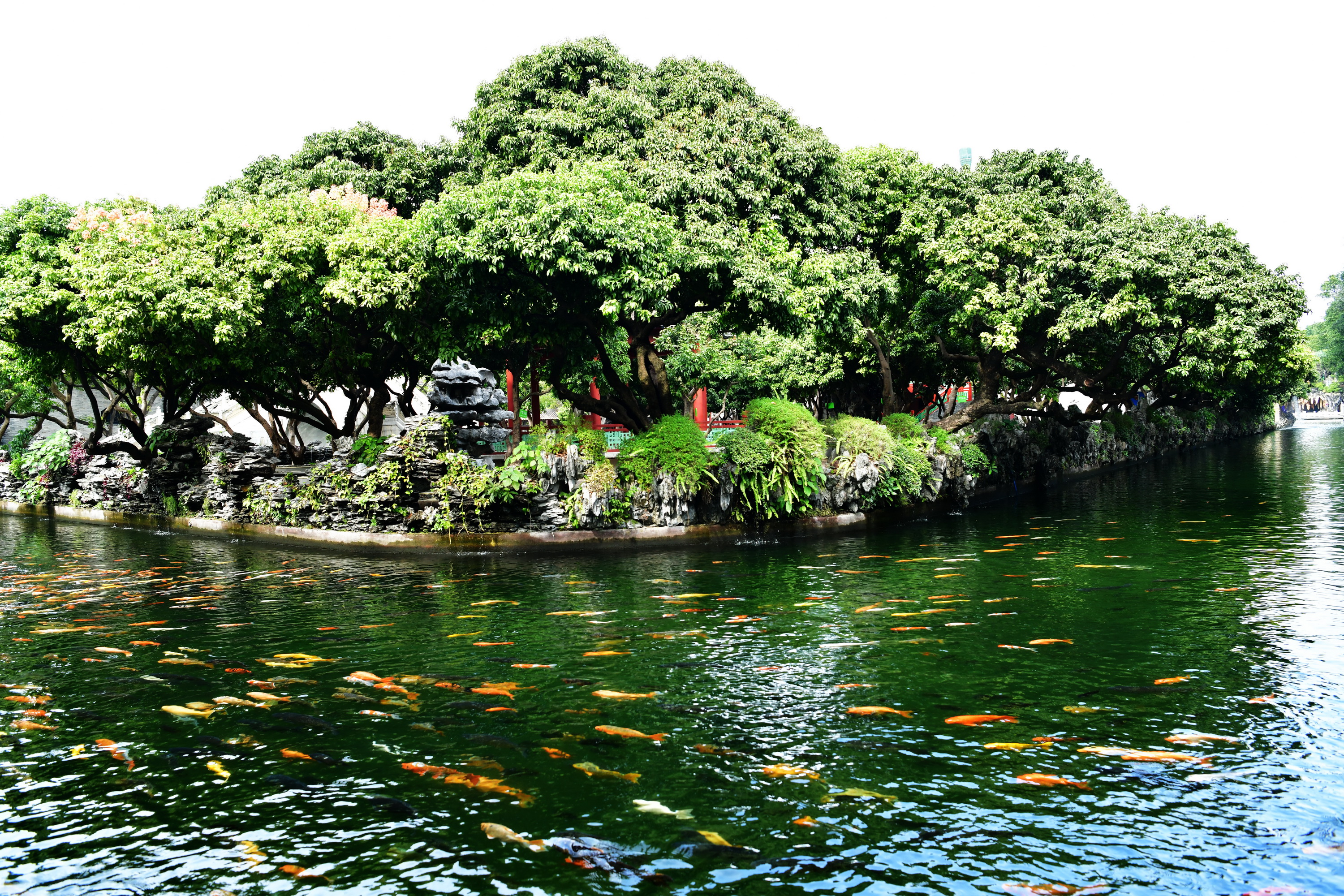 广州市番禺区宝墨园攻略,广州宝墨园景观