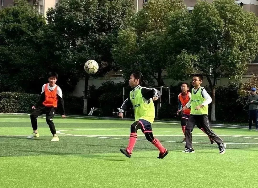 双减政策下的小学实践活动,双减政策实施后中小学生课外活动