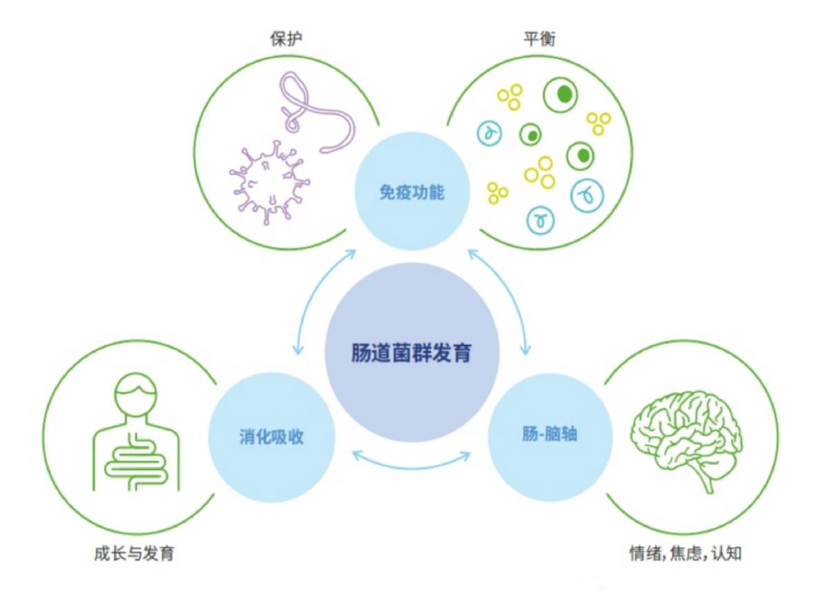 滴适宝：盛夏将至益生菌助力儿童预防肠胃疾病