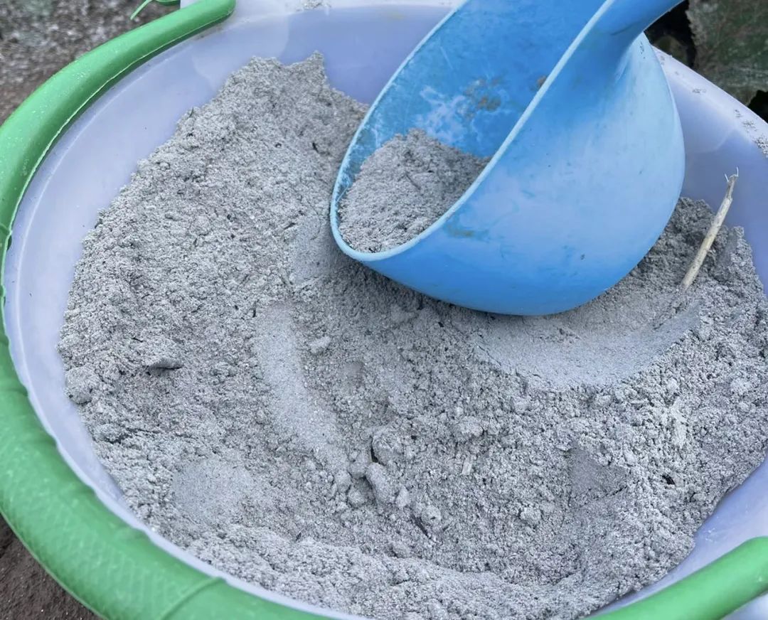 花卉浇水最好用什么水,四种水是万能药