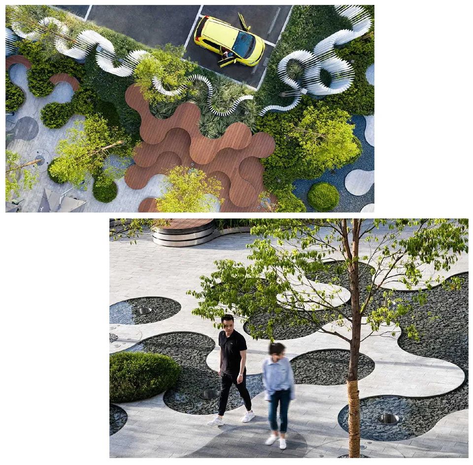 鸽王争霸,鸽王争霸赛开幕