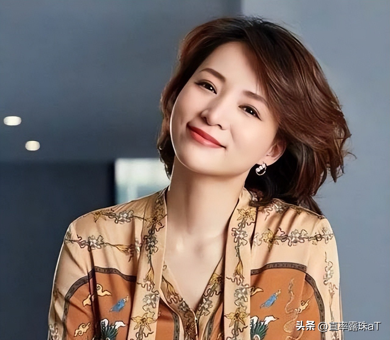 董卿绝美图,美人图胤禛