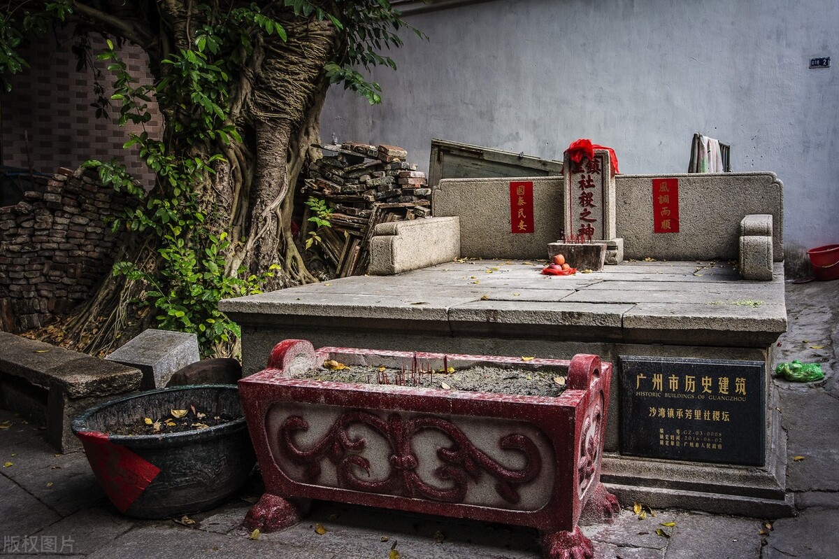 菽稷是什么作物,稻麦黍菽稷分别指什么