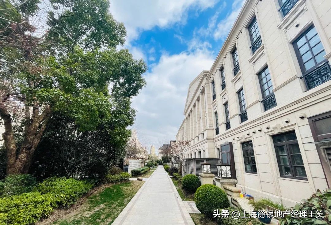 大华伊斐墅多少钱一平,大华伊斐墅小区平面图