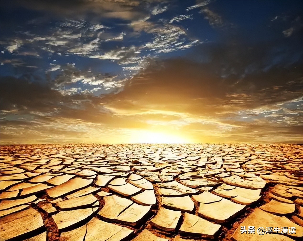 梅花易数后天八卦起卦工具,邵雍梅花易数预测实例