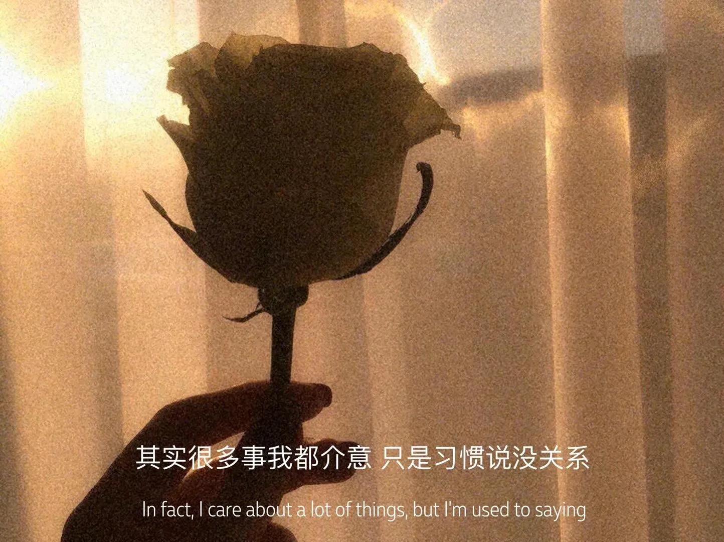 情绪郁结文案,熬过心情再熬生活的文案