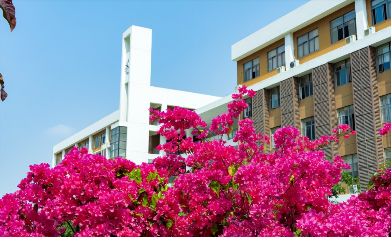 深圳科学高中2021高考,深圳科学高中2021排名